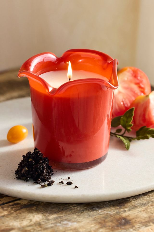 Botaniculture Tomato Leaf Candle #1