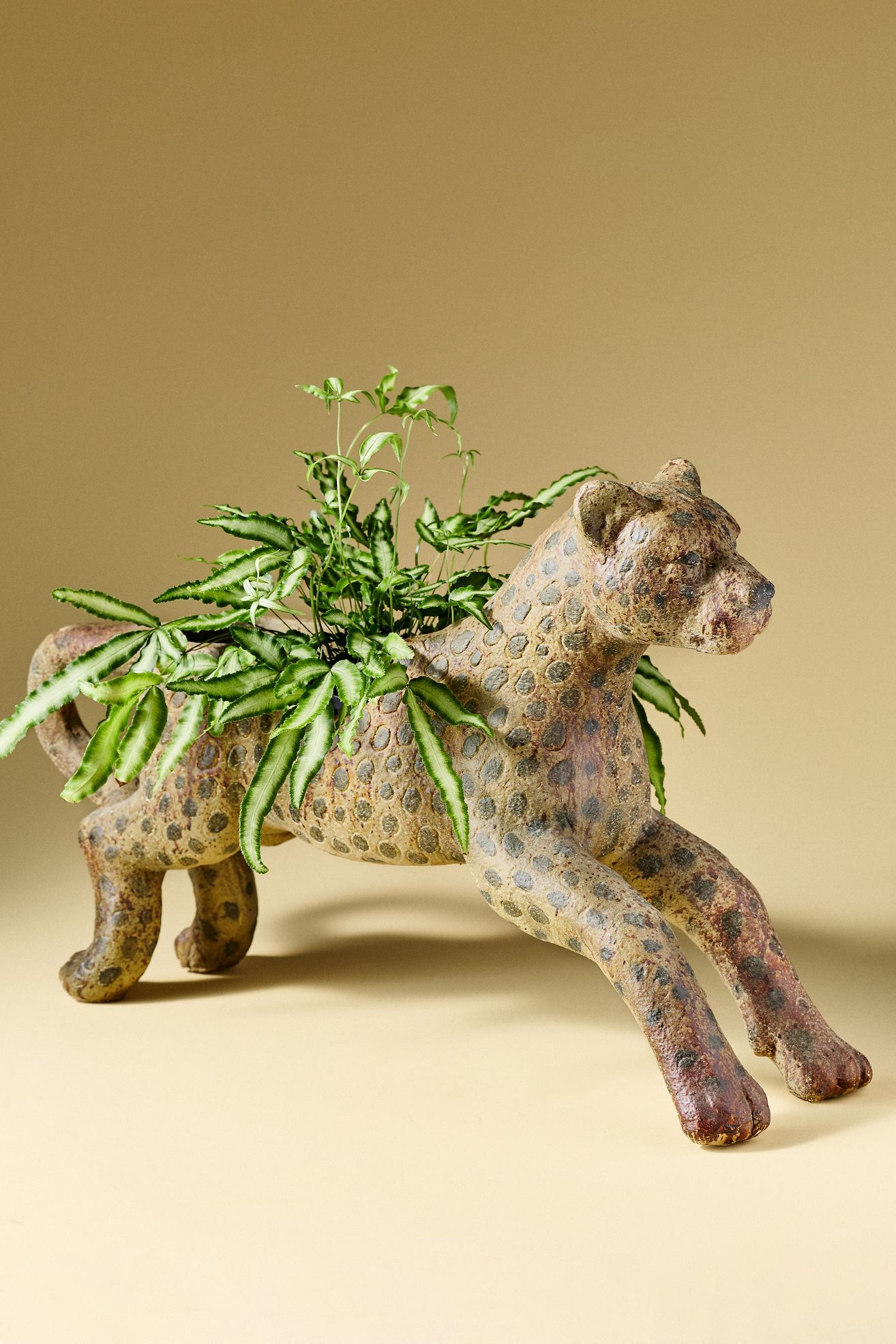 Vintage Leopard Pot - Leopard, One Size