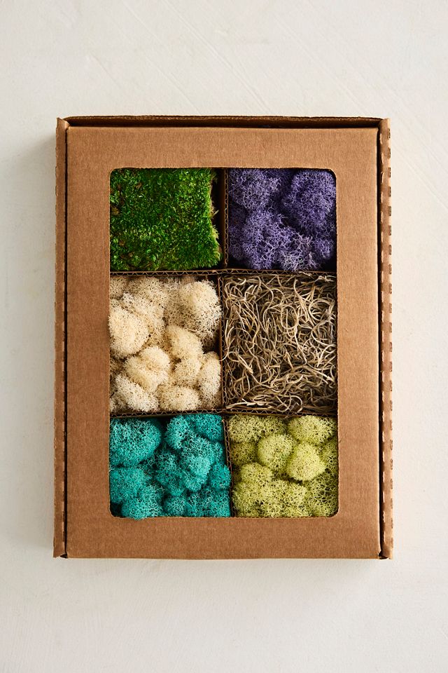 Preserved Moss Collection, Springtime #1