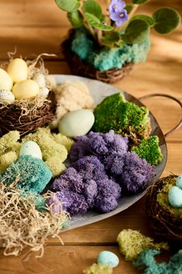 Gifts | Gifts for Everyone + All Seasons | Anthropologie