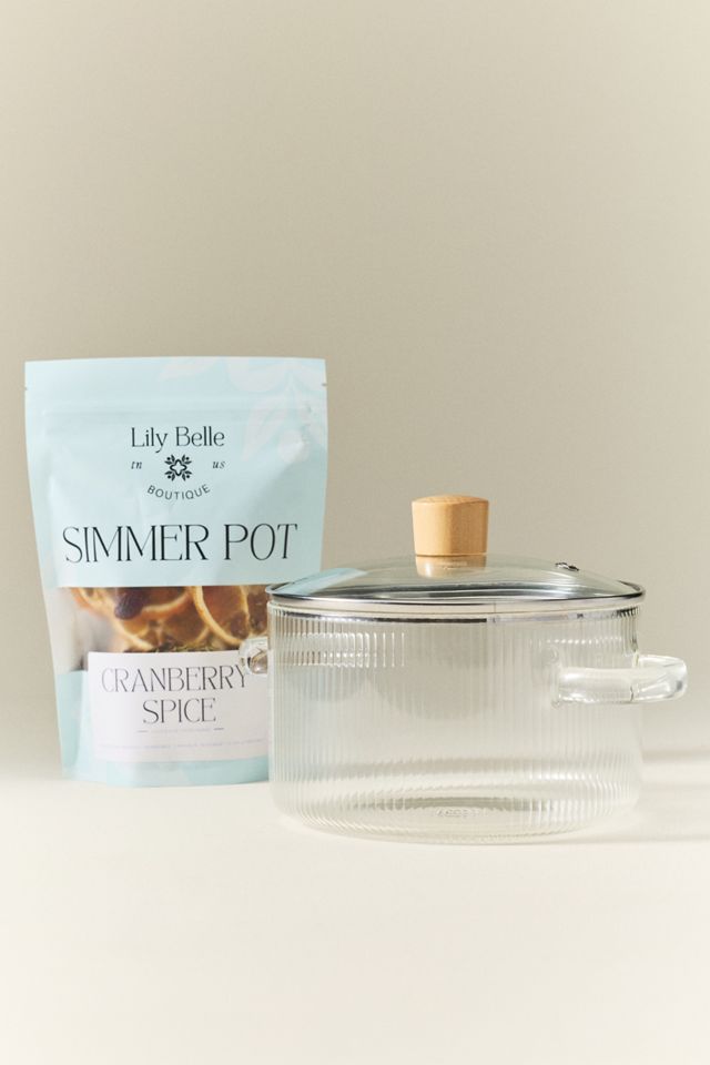 Lily Belle Boutique Cranberry Spice Simmer Pot Starter Kit #1