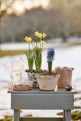 Decorative Planters & Plant Stands | AnthroHome