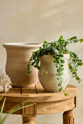 Round Rim Terracotta Jar Planter