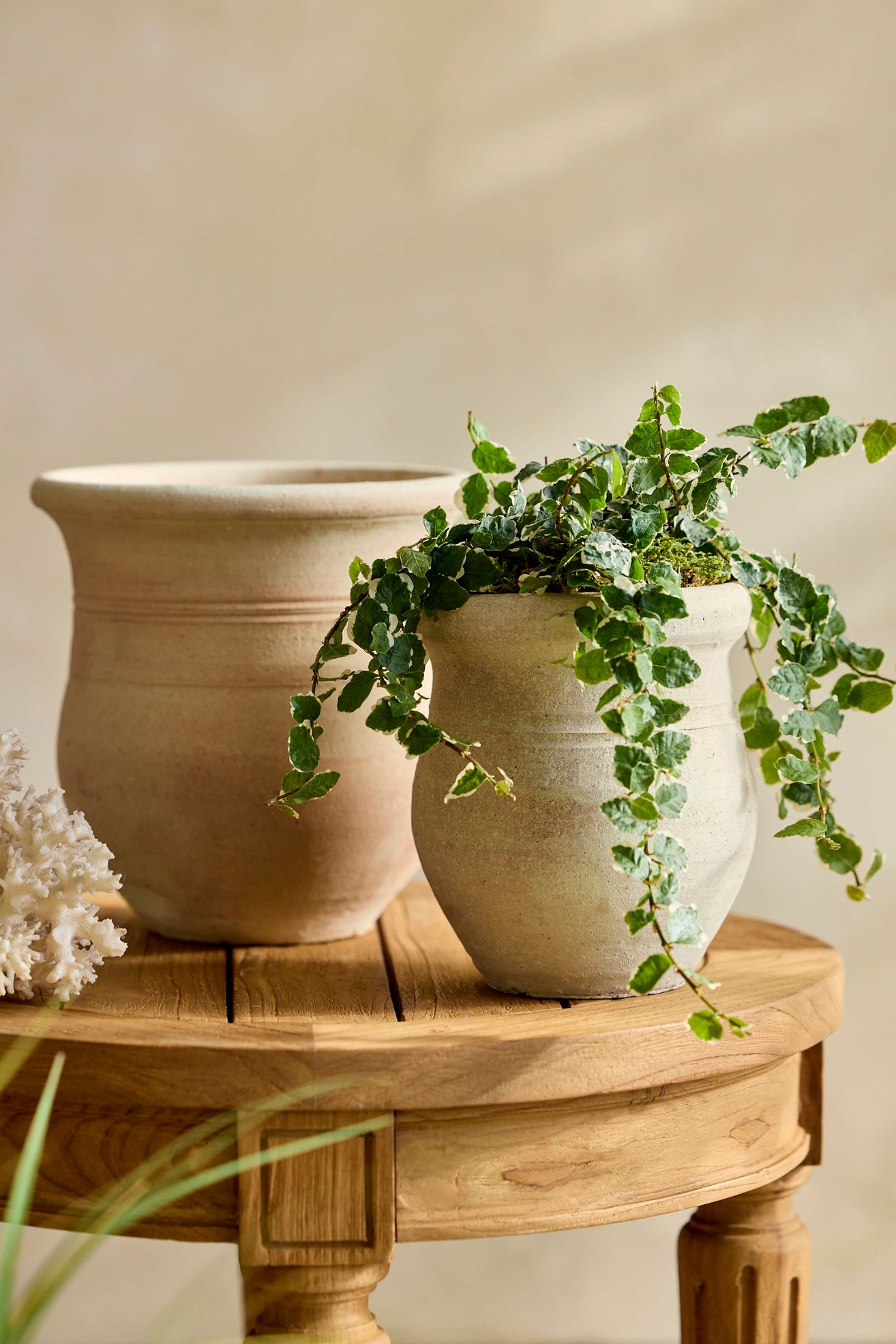 Round Rim Terracotta Jar Planter - Terracotta, 8"