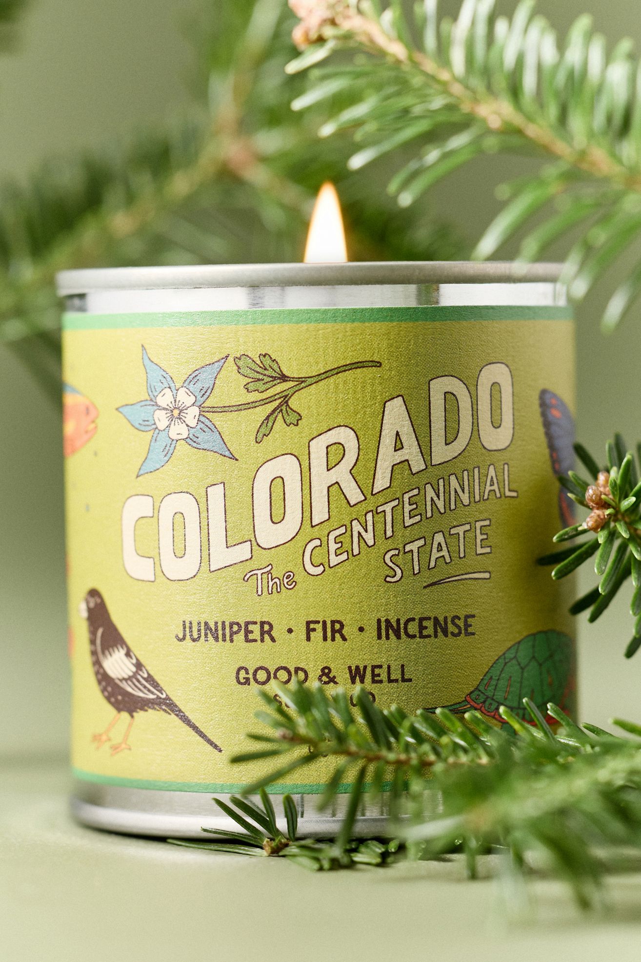 Good & Well Supply Co. Woody Colorado Tin Candle - Green, S