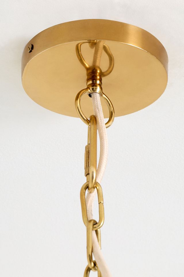 The Antique Brass Scallop Shade Classic 6-Arm Chandelier #3