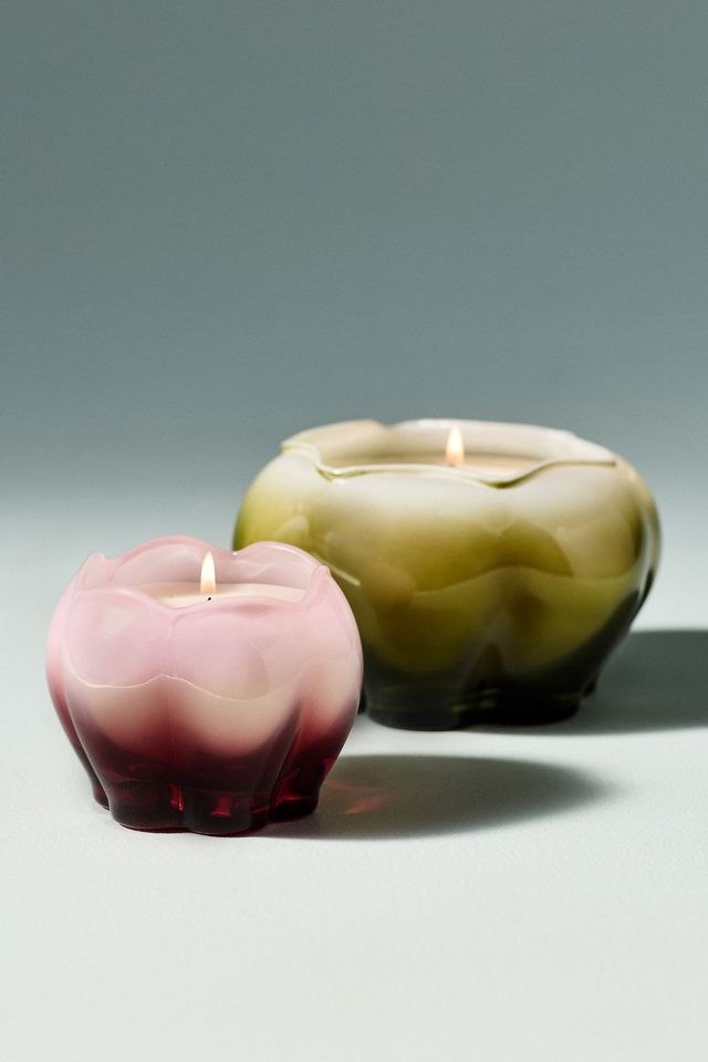 Posie Fruity Honeycrisp Oakwood Glass Candle | AnthroHome