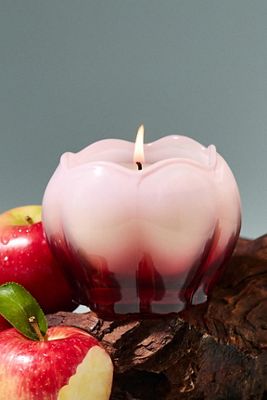 Vela de Vidrio Posie Frutal Manzana Honeycrisp Roble