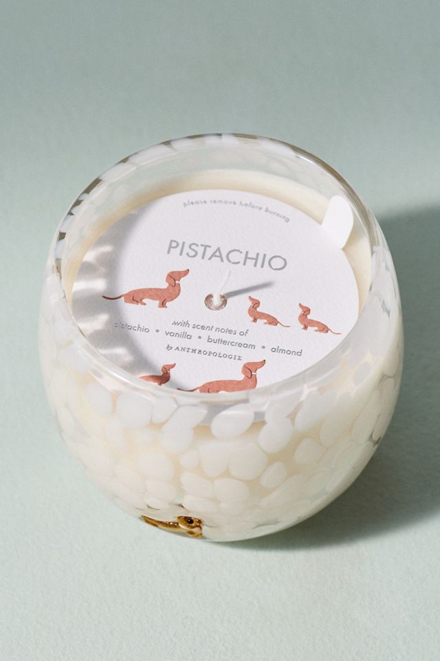Confetti Icon Dachshund Gourmand Pistachio Glass Candle #2