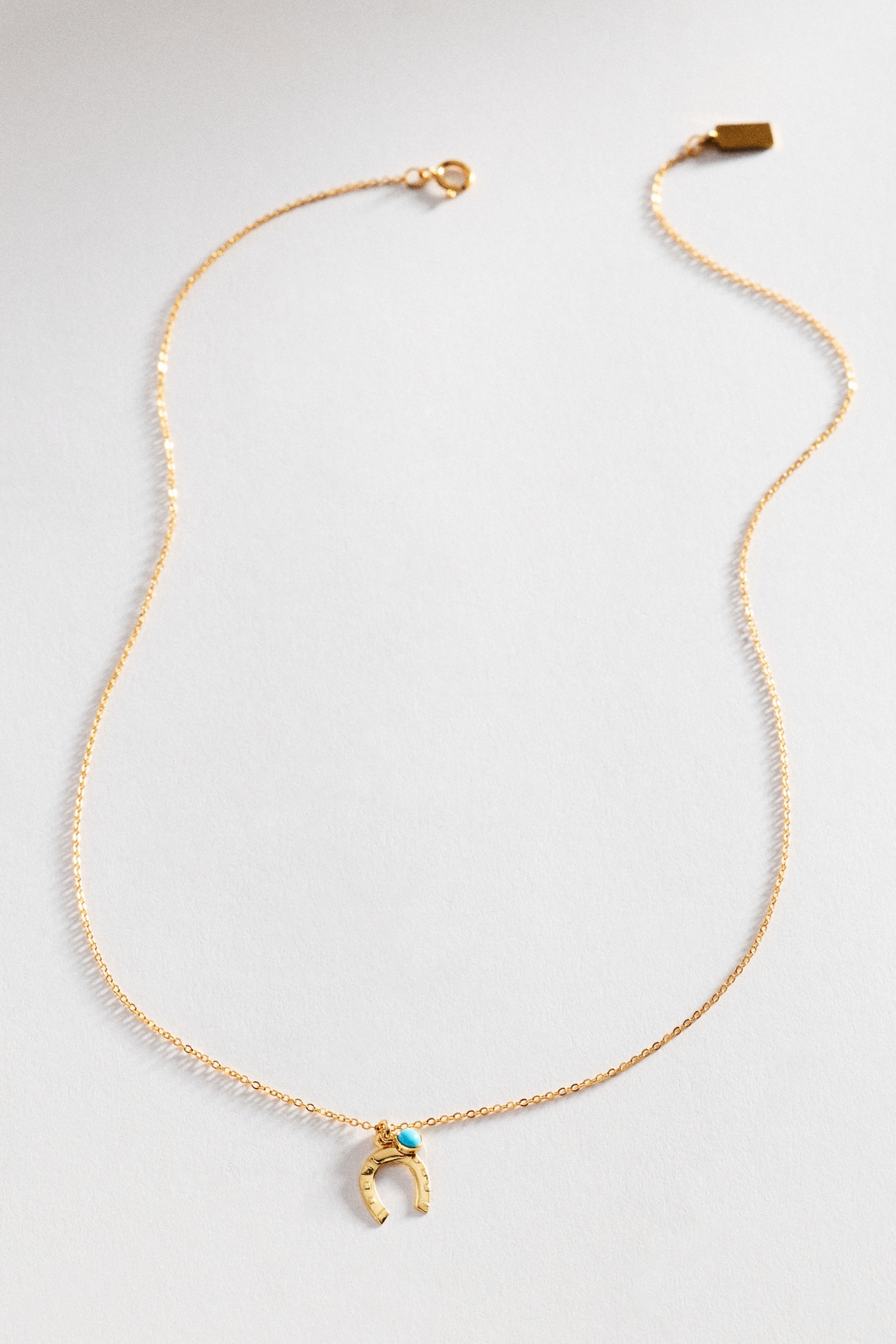 Set & Stones Horseshoe Necklace