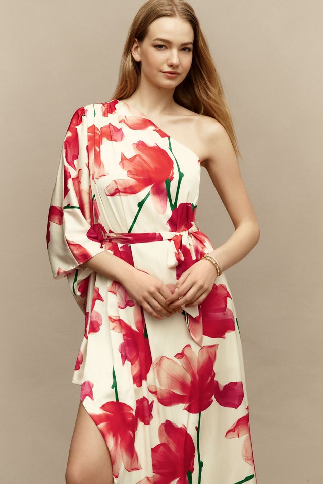 Hutch Adina Midi Dress #3