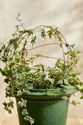 Collapsible Antiqued Copper Garden Sphere