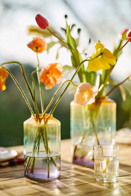 Terrain Rainbow Ombre Glass Vase In Multi