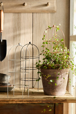 Terrain Domed Cylinder Iron Mini Trellis In Brown