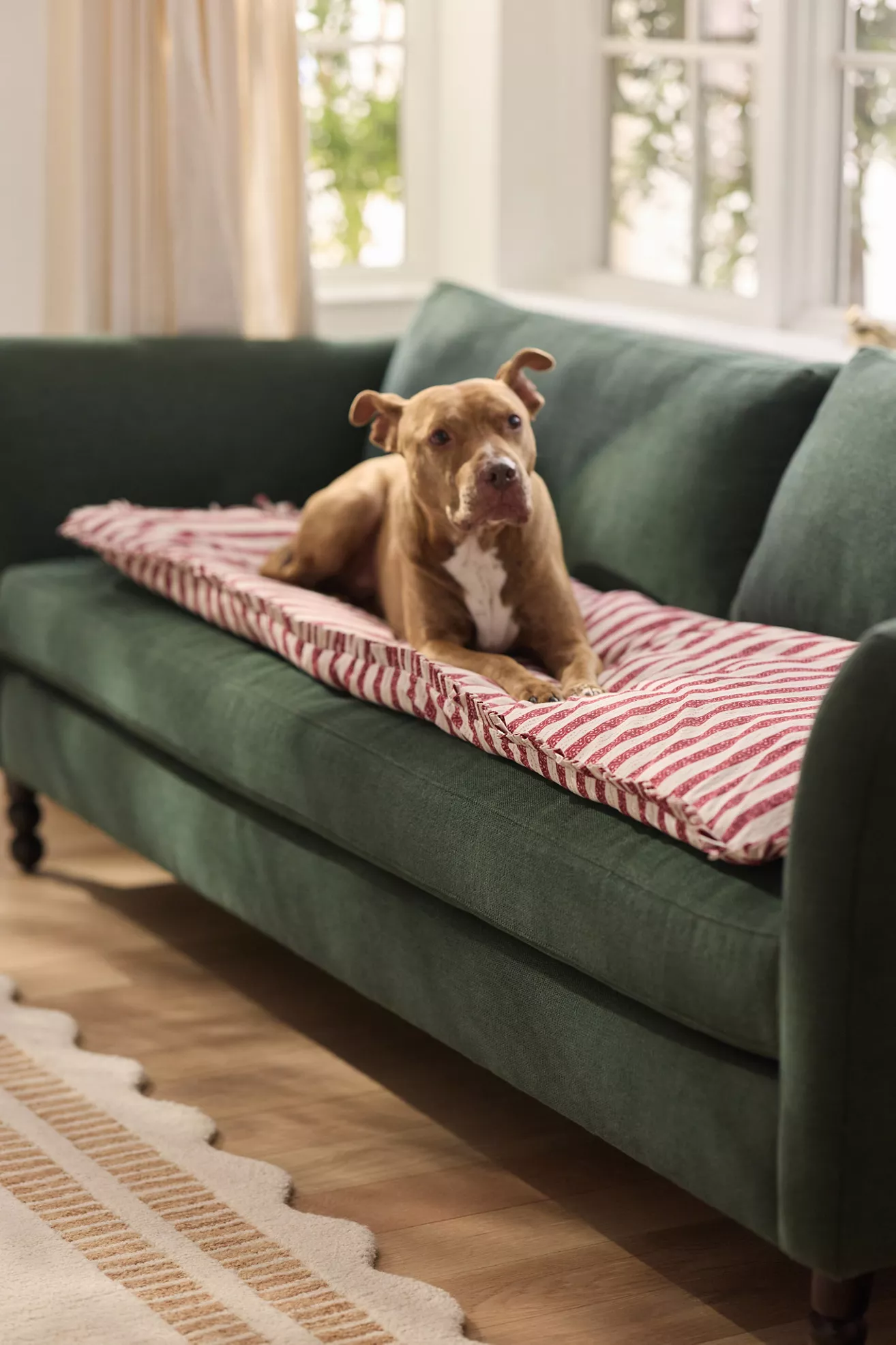 Cotton Printed Ruffle Sofa Topper - thumbnail 6