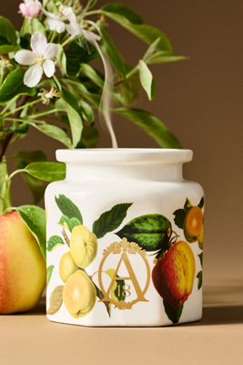 Apothecary 18 Fruity Harvest Apple & Vanilla Ceramic Candle