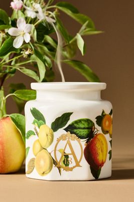Apothecary 18 Fruity Harvest Apple & Vanilla Ceramic Candle