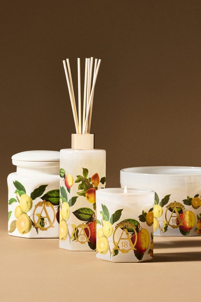 Apothecary 18 Fruity Harvest Apple & Vanilla Glass Candle | AnthroHome