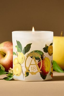 Apothecary 18 Fruity Harvest Apple & Vanilla Glass Candle