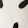 Dalmation