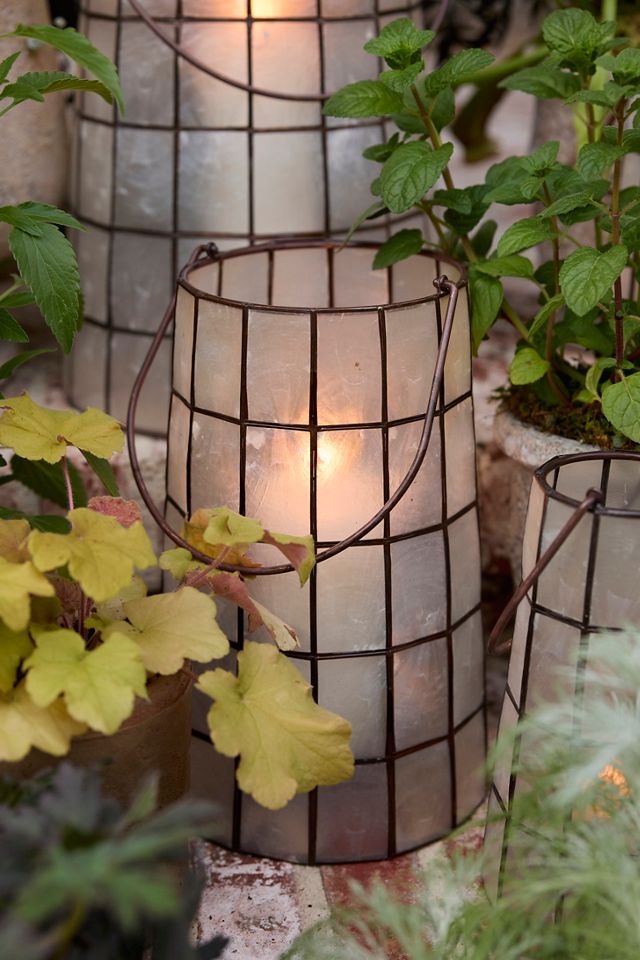 Capiz Shell Lantern #3