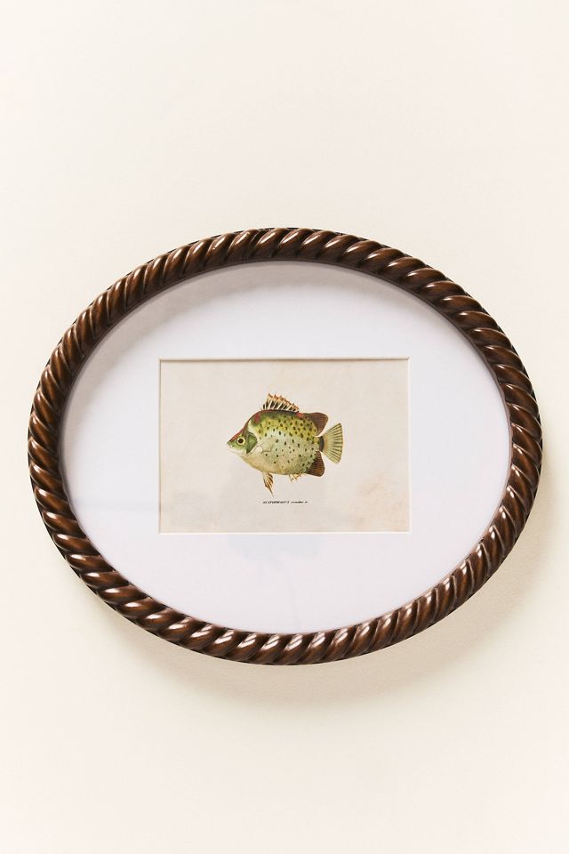 Dual Matted Rope Fish Frame #1
