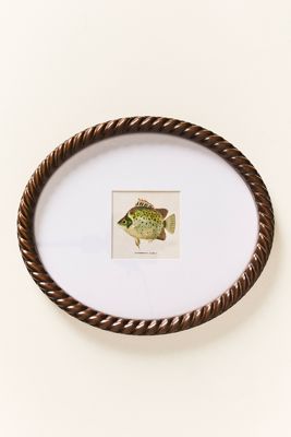 Dual Matted Rope Fish Frame