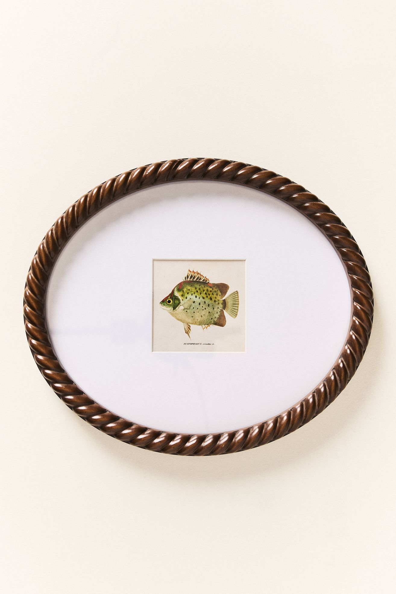 Dual Matted Rope Fish Frame - Mdf Glass, One Size