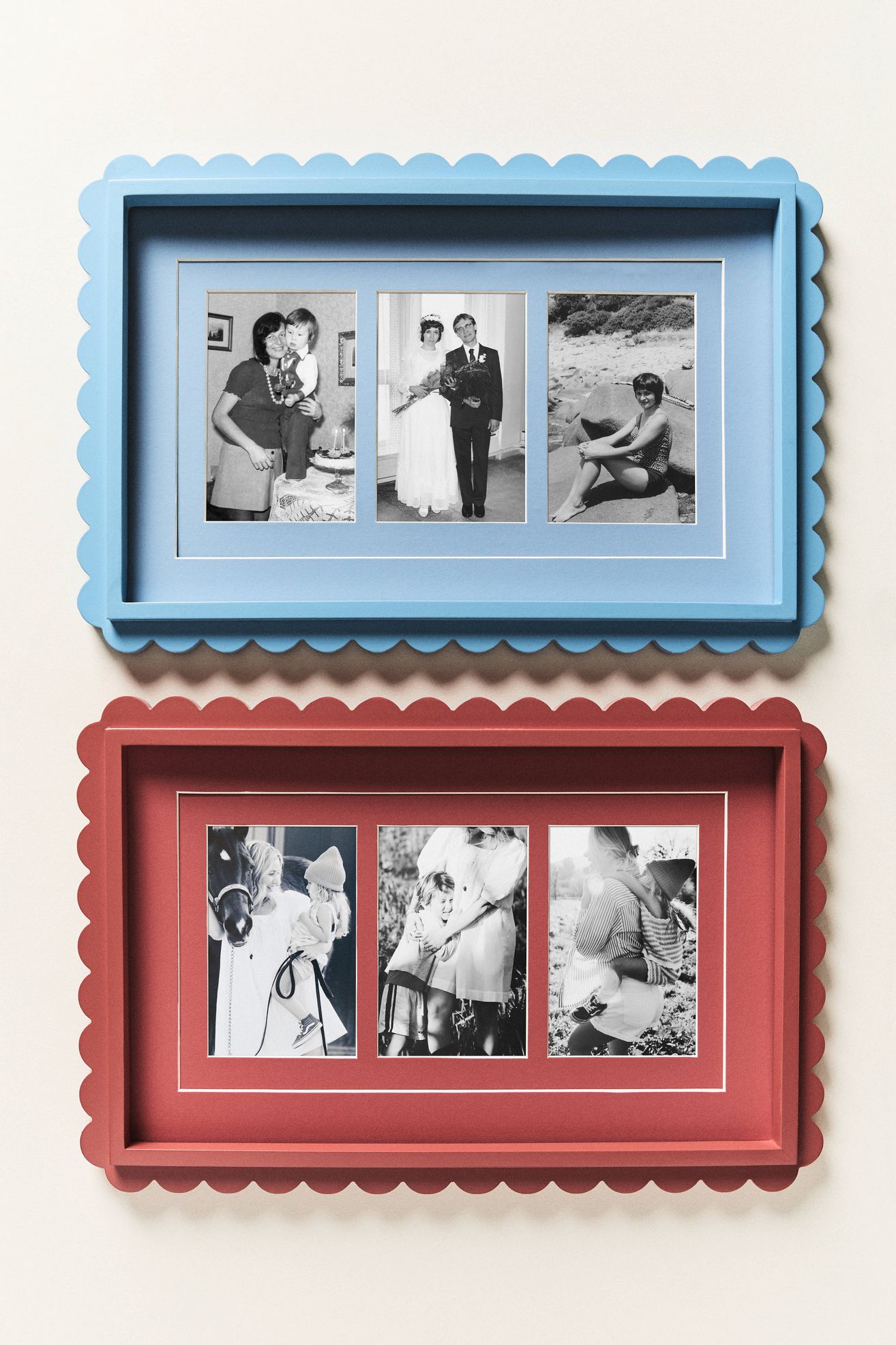 Scallop Fish Frame - Blue, One Size