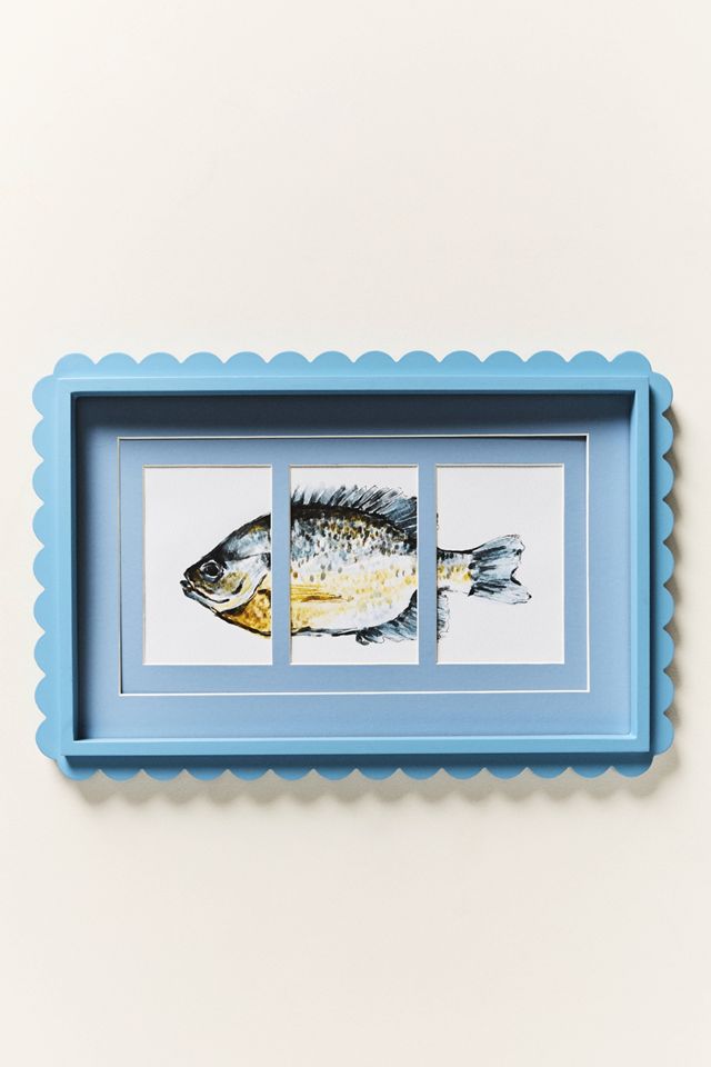 Cadre Poisson Festonné #1