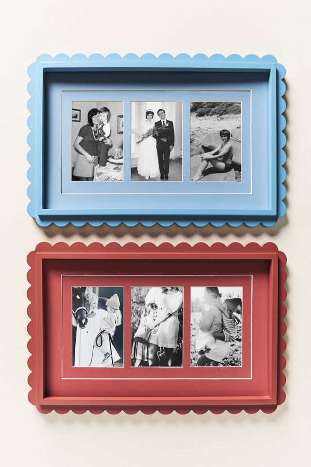 Scallop Fish Frame #1