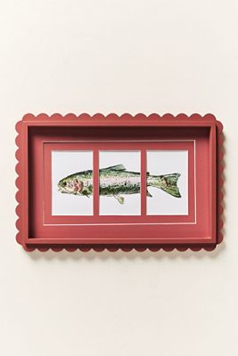 Scallop Fish Frame