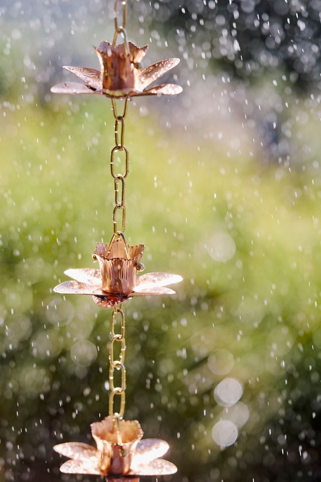 Daffodil Copper Rain Chain #1