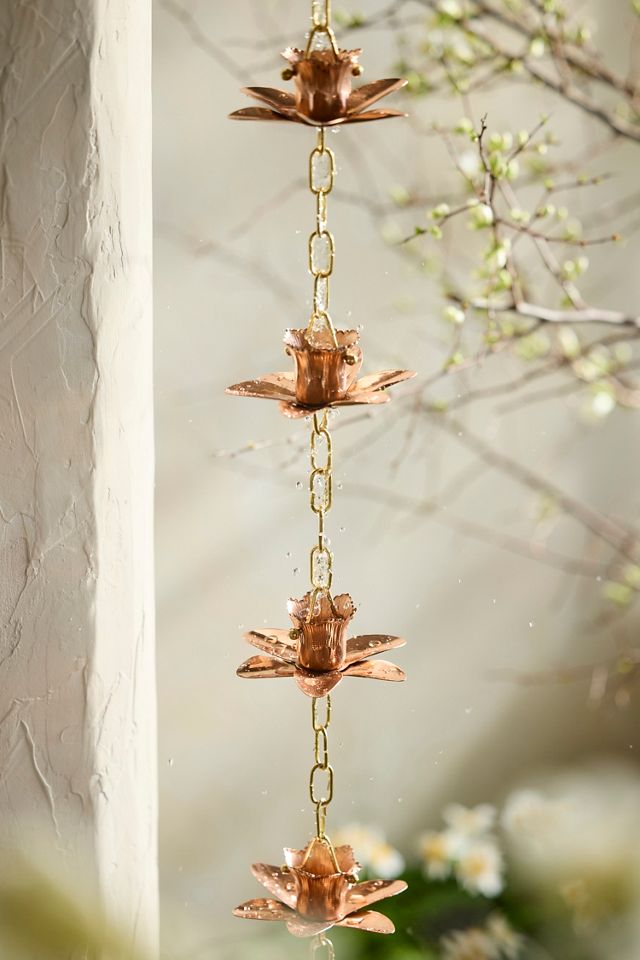 Daffodil Copper Rain Chain #2
