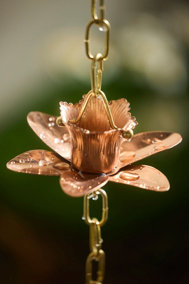 Daffodil Copper Rain Chain #3