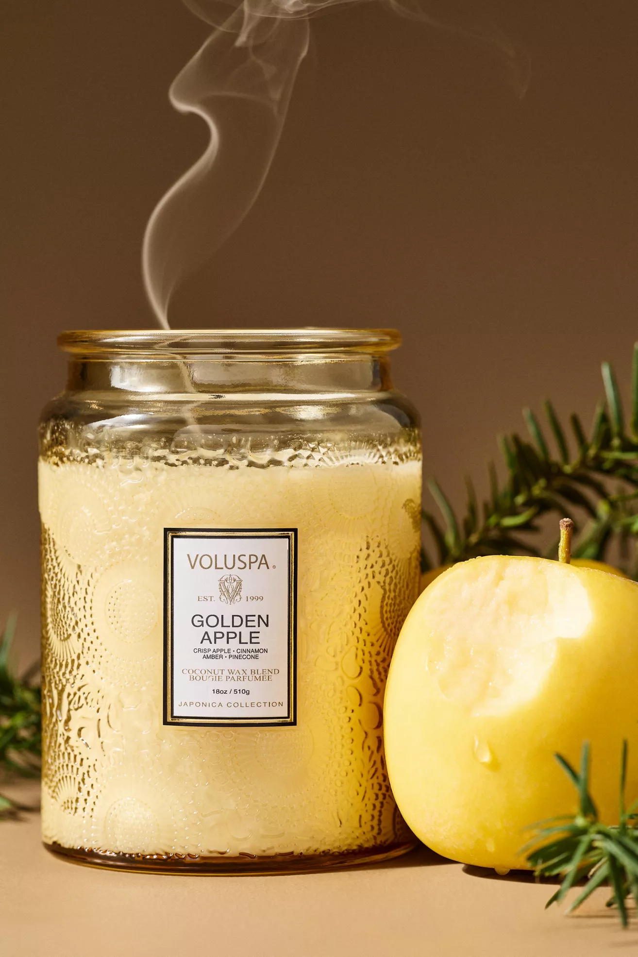 Voluspa Japonica Fruity Golden Apple Glass Candle