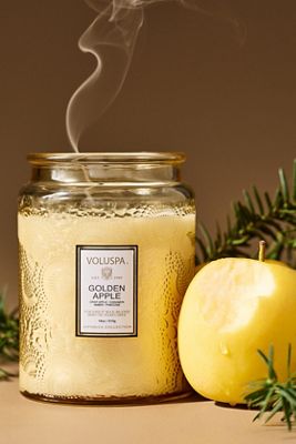 Voluspa Japonica Fruity Golden Apple Glass Candle