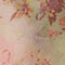 Buttercream Hazy Floral