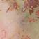 Buttercream Hazy Floral