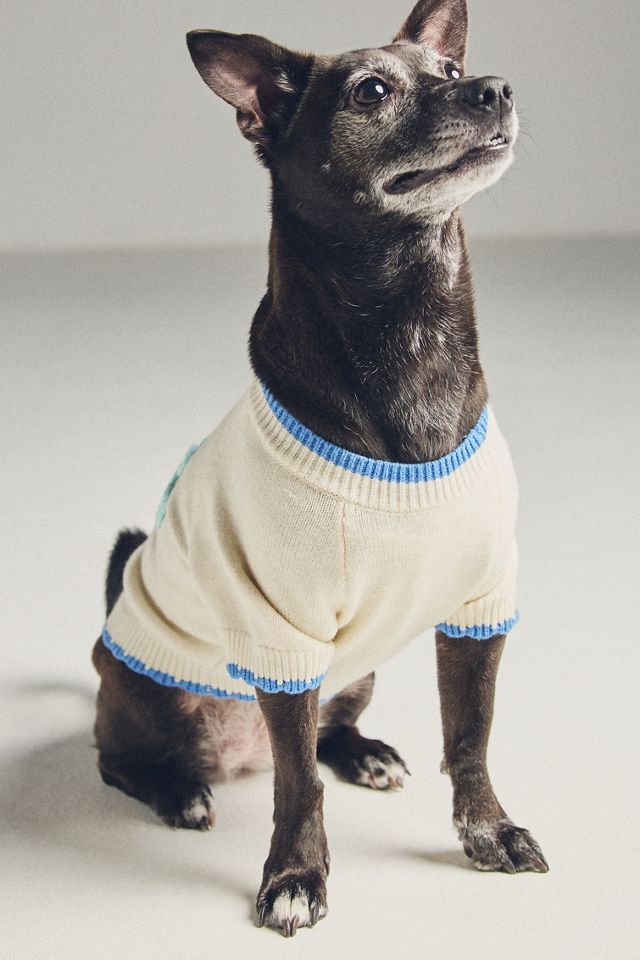 FURB Beach Bum Embroidered Dog Sweater #3