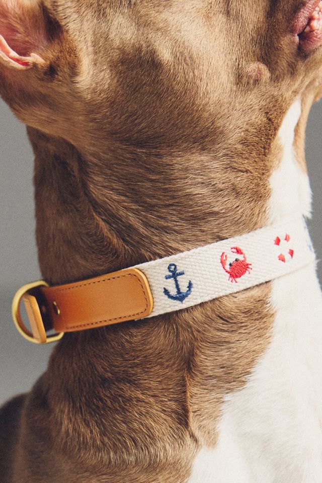 Anthropologie Summer Icon Needlepoint Pet Collar #4