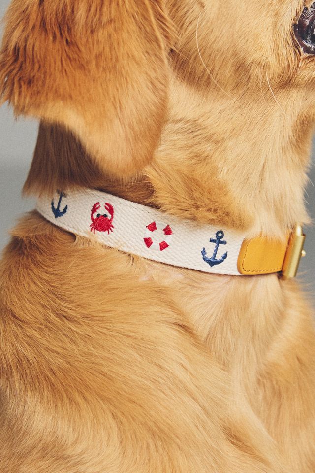 Anthropologie Summer Icon Needlepoint Pet Collar #1