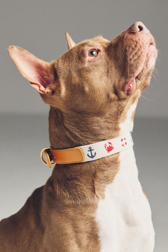 Anthropologie Summer Icon Needlepoint Pet Collar #3