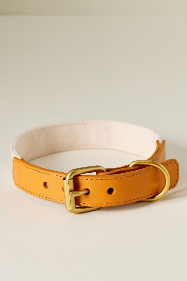 Anthropologie Summer Icon Needlepoint Pet Collar #5