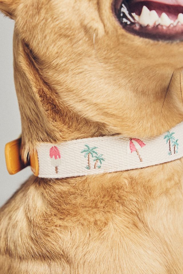 Anthropologie Summer Icon Needlepoint Pet Collar #1