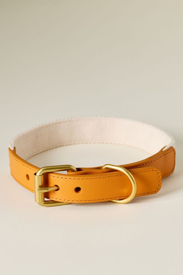 Anthropologie Summer Icon Needlepoint Pet Collar #2