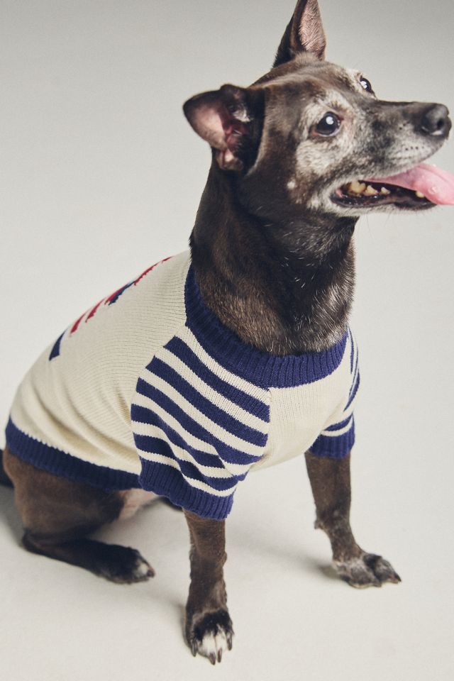 Anthropologie Coastal Cutie Lighthouse Pet Sweater #3