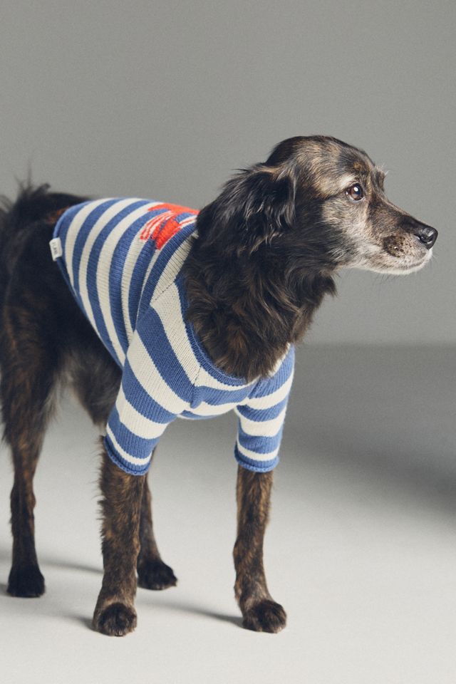 Anthropologie Pinch Perfect Striped Lobster Pet Sweater #1