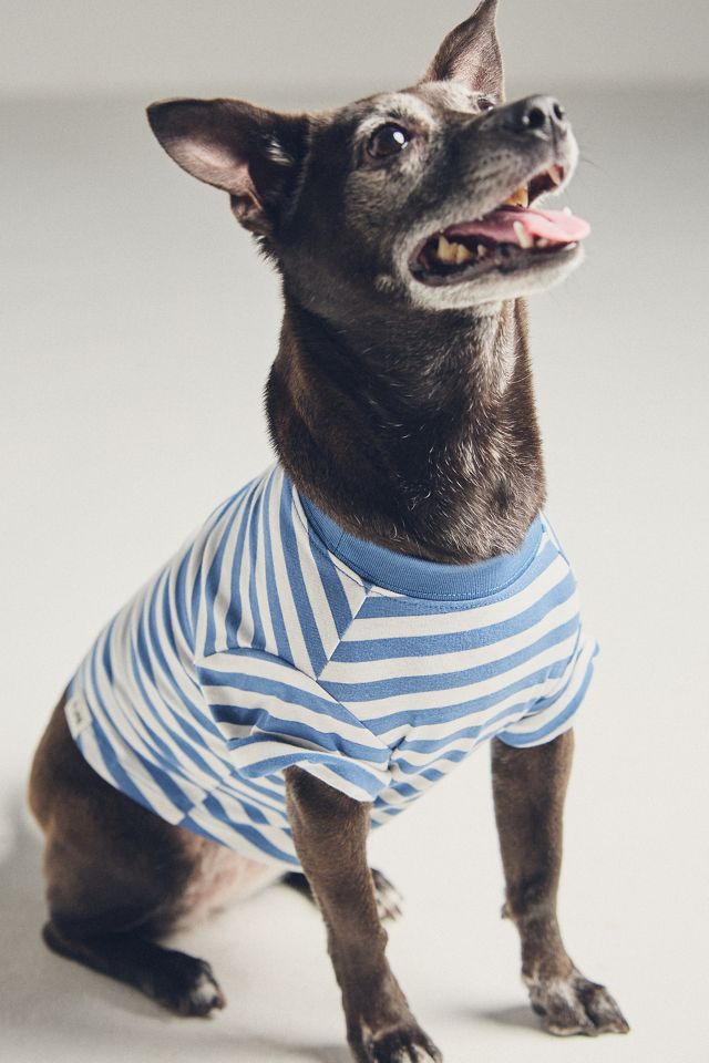 FURB Striped Pet T-Shirt #2