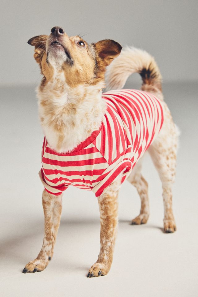 FURB Striped Pet T-Shirt #2